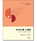 상식의틀노동법